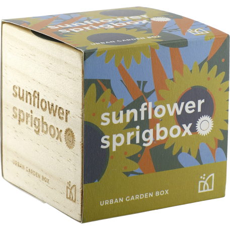 Sprigbox Sunflower Grow Kit