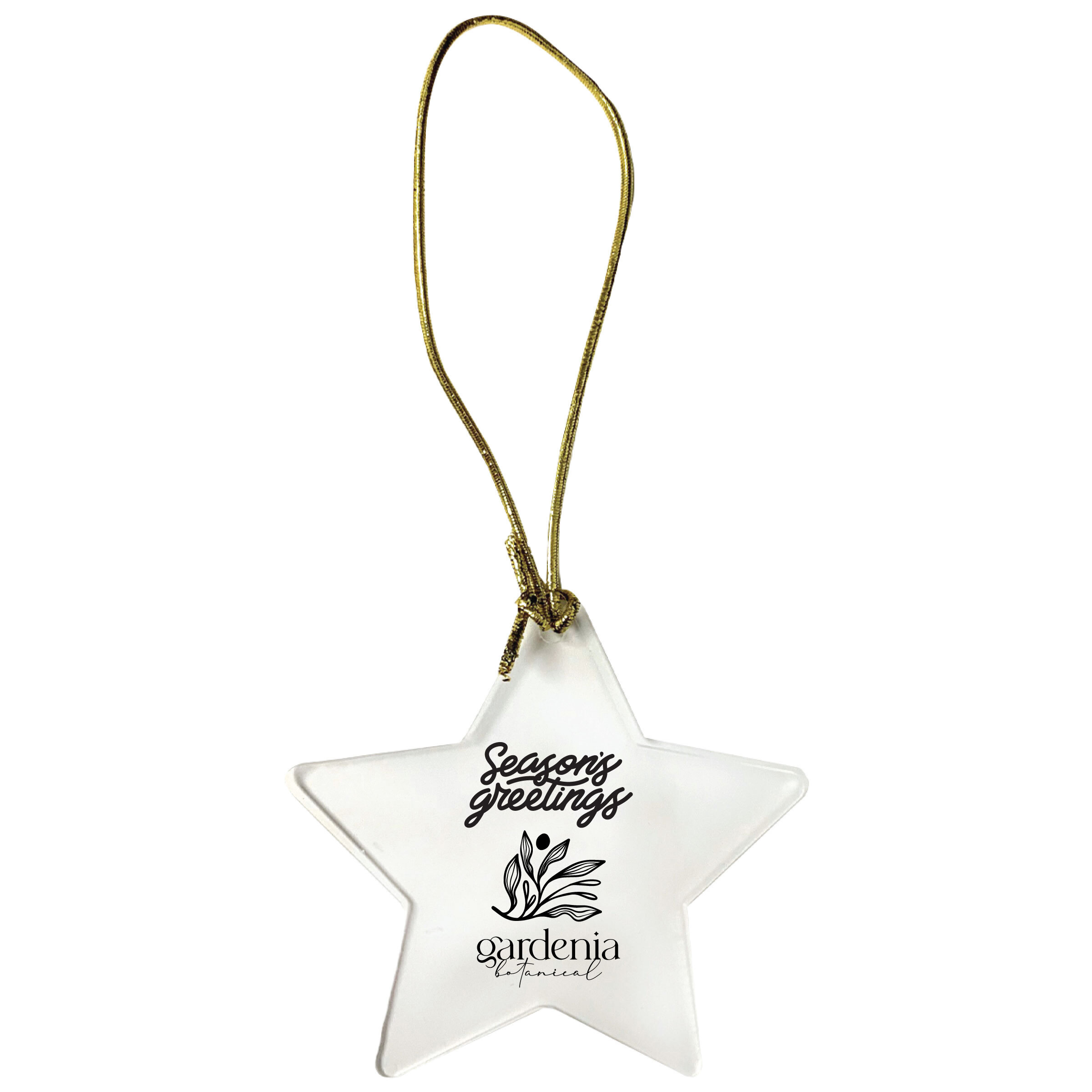 Acrylic Star Ornament