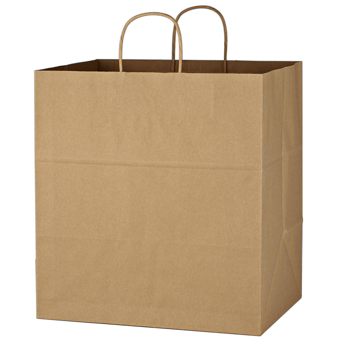 Kraft Paper Brown Shopping Bag - 14" x 15"