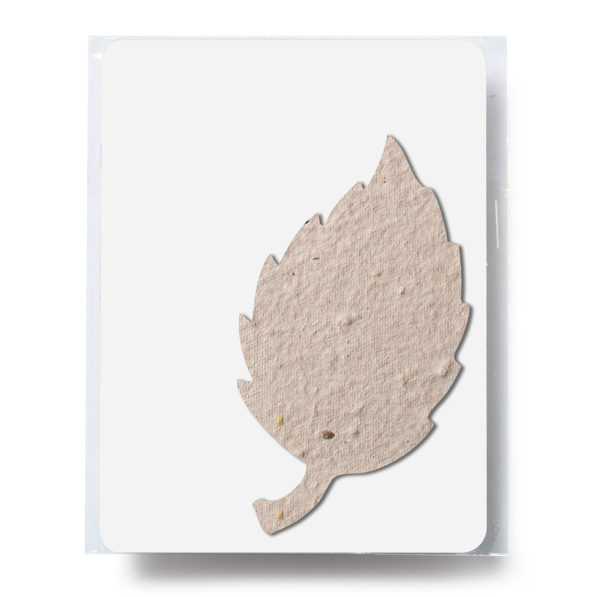 Bloomin® Aspen Shaped Plantable Gift Pack