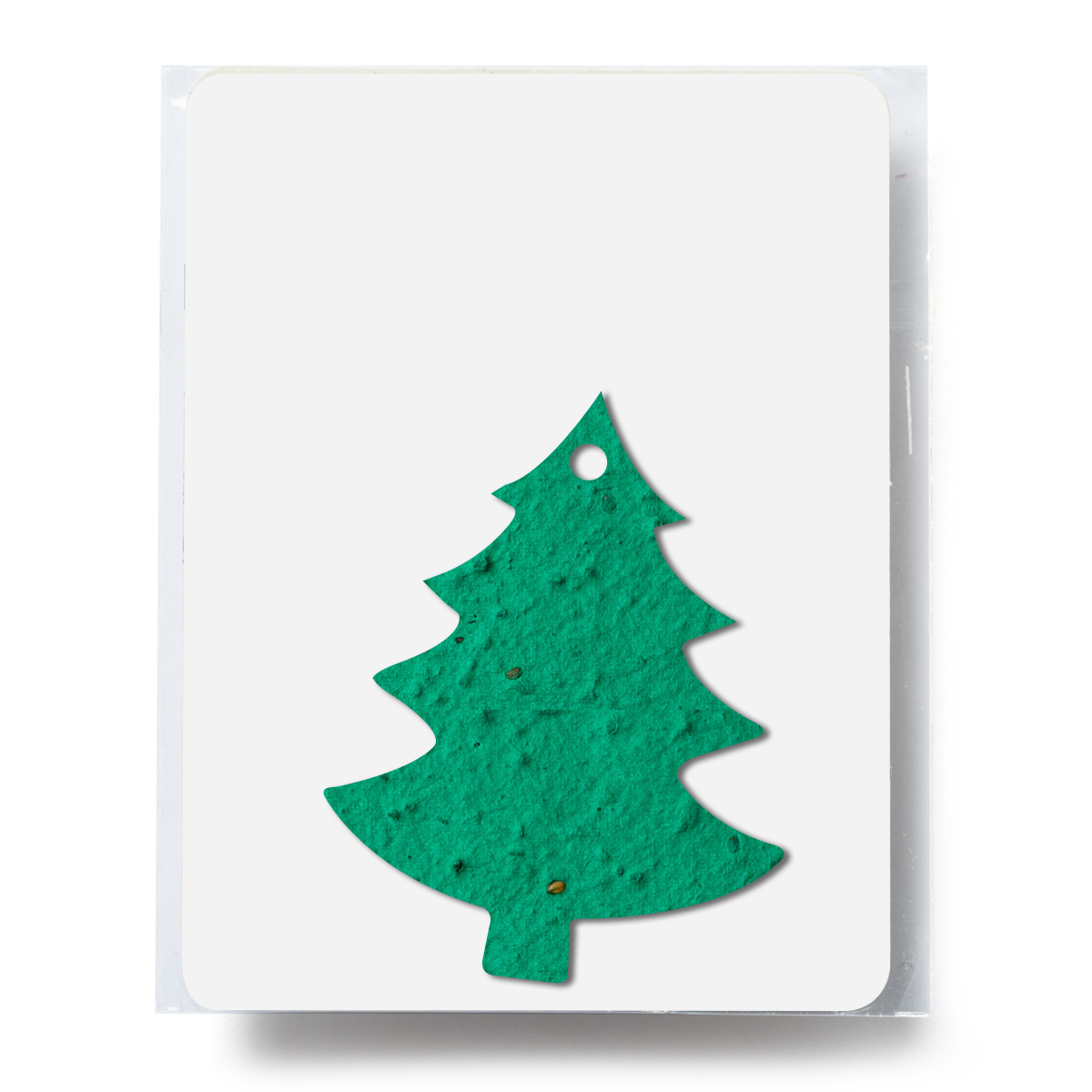 Bloomin® Tree Shaped Plantable Gift Pack