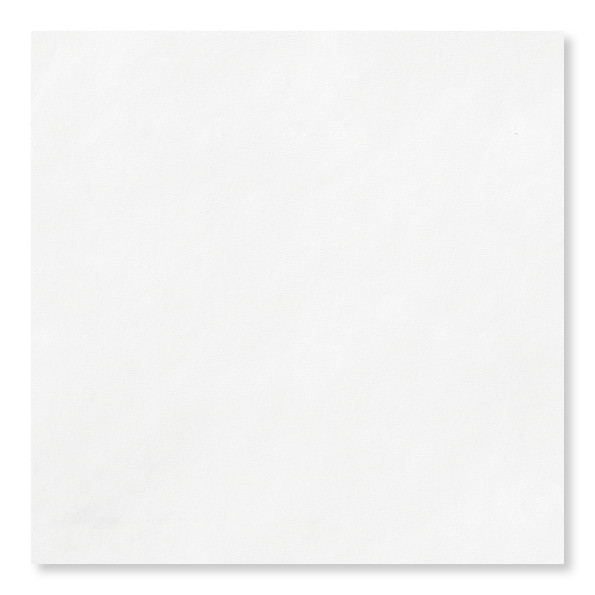 Full Color 3 Ply Premium Beverage Napkins