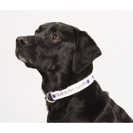 Full Color 1" Wide Adjustable Pet Collar